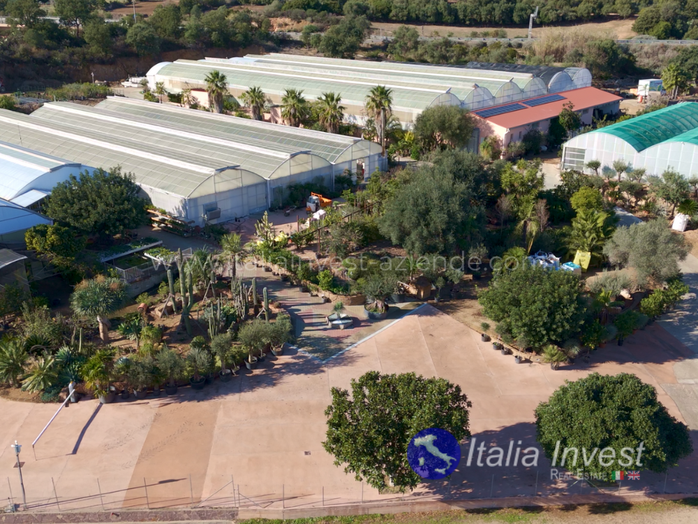 Azienda in vendita in Sardegna Attività commerciale in vendita in Sardegna Compra azienda in Sardegna Opportunità di investimento in Sardegna Vendita di attività in Sardegna Aziende in vendita in Sardegna, vari settori Cessione di azienda in Sardegna Vendesi impresa in Sardegna