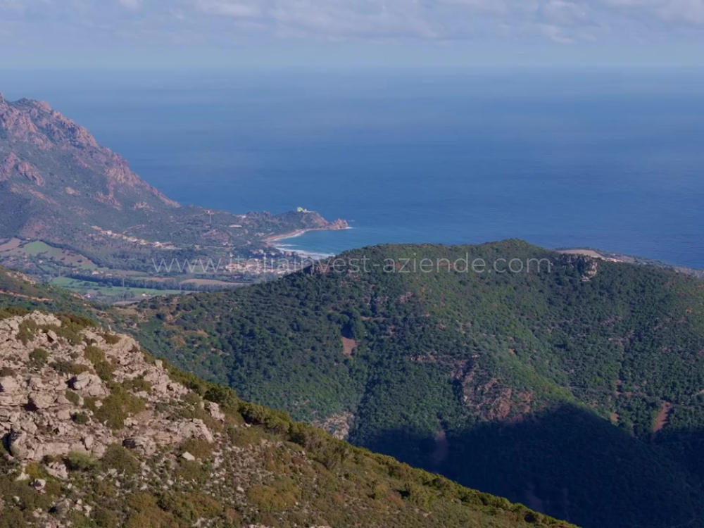 Cessione di azienda in Sardegna Vendesi impresa in Sardegna Attività in vendita per investitori in Sardegna Vendita di aziende redditizie in Sardegna Annunci di aziende in vendita in Sardegna Investimenti in attività commerciali in Sardegna Compra un'impresa in Sardegna Vendita aziende in Sardegna, settore turistico